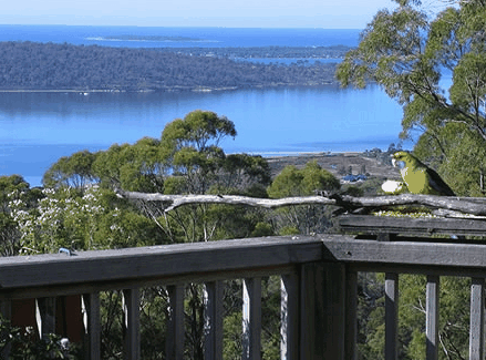 Bed In The Treetops - Perths Hotel 0