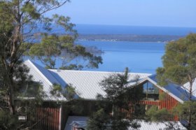 Bed In The Treetops - Perths Hotel 4