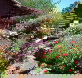 Chestnut Brook Cottage - Perths Hotel