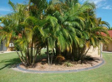 Yamba Motor Inn - Perths Hotel 5