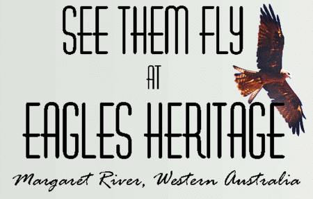 Eagles Heritage Raptor Wildlife Centre - Perths Hotel