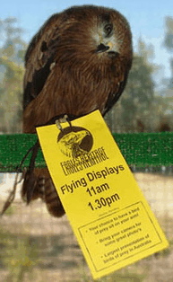 Eagles Heritage Raptor Wildlife Centre - Perths Hotel 1