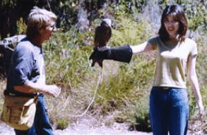 Eagles Heritage Raptor Wildlife Centre - Perths Hotel 2