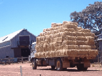 Avondale Discovery Farm - Perths Hotel 1