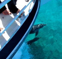 Pelican Charters - Perths Hotel