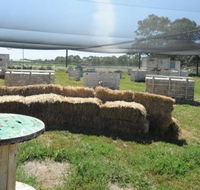 We Are Paintball - Perths Hotel