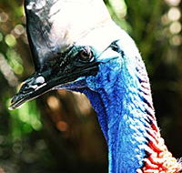 Alma Park Zoo - Perths Hotel
