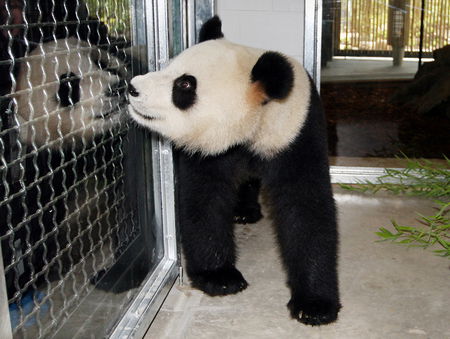 Adelaide Zoo - Perths Hotel 3