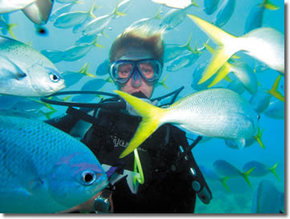 Maxi Ragamuffin - Perths Hotel 3