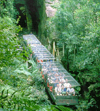 Scenic World Blue Mountains - Perths Hotel 3