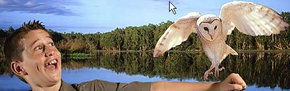 Territory Wildlife Park - Perths Hotel 2