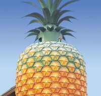 The Big Pineapple - Perths Hotel