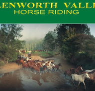 Glenworth Valley Horseriding - Perths Hotel