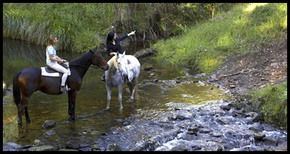 Glenworth Valley Horseriding - Perths Hotel 1