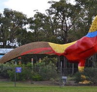 Gumbuya Park - Perths Hotel