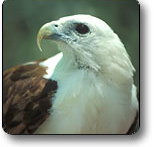 Kakadu National Park - Perths Hotel