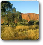 Uluru - Kata Tjuta National Park - Perths Hotel 0