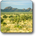 Uluru - Kata Tjuta National Park - Perths Hotel 2