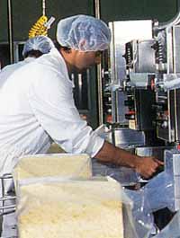 Allansford Cheese World - Perths Hotel 1