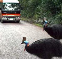 Kookaburra Tours - Perths Hotel