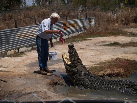 Koorana Saltwater Crocodile Farm - Perths Hotel 1