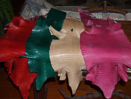 Koorana Saltwater Crocodile Farm - Perths Hotel 2