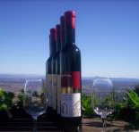 Mount Tamborine Winery  Homestead - Perths Hotel