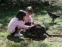 Urimbirra Wildlife Park - Perths Hotel 1