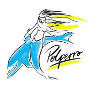 Polperro Dolphin Swims - Perths Hotel