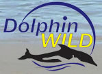 Dolphin Wild - Perths Hotel 0