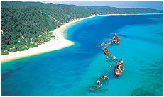 Dolphin Wild - Perths Hotel 3