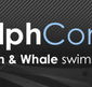 Dolphcom - Dolphin  Whale Swimming Adventures - Perths Hotel
