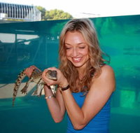 Crocosaurus Cove - Perths Hotel