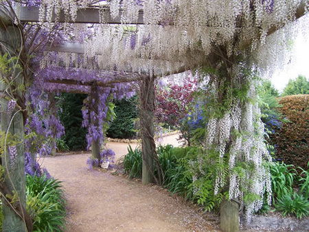 Abingdon Miniature Village - Perths Hotel 0