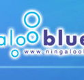 Ningaloo Blue Dive - Perths Hotel
