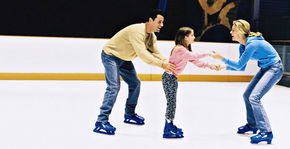 Penrith Ice Palace - Perths Hotel 2