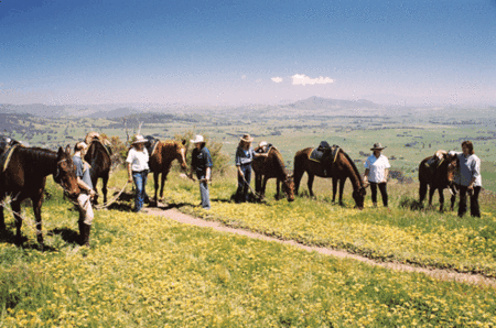 Watsons Trail Rides - Perths Hotel 1