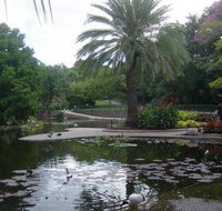 Brisbane City Botanic Gardens - Perths Hotel