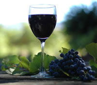 Lion Mill Vineyards - Perths Hotel 0