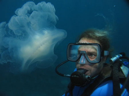 Silver Swift - Perths Hotel 2