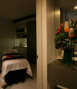 Alkaline Spa & Clinic - Perths Hotel 0