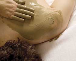 Alkaline Spa & Clinic - Perths Hotel 2