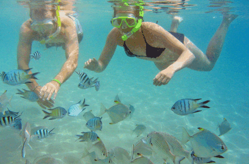 Australian Kayaking Adventures - Perths Hotel 2