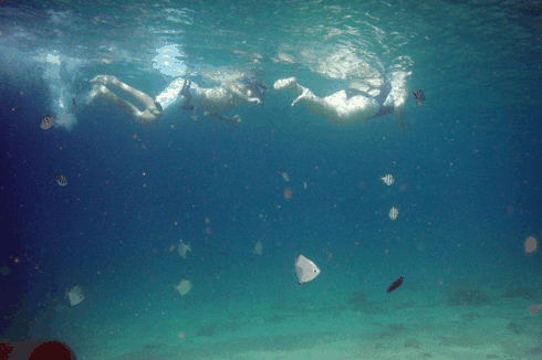 Australian Kayaking Adventures - thumb 5