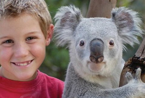 Featherdale Wildlife Park - Perths Hotel 1