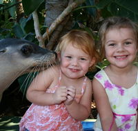 Dolphin Marine Magic - Perths Hotel