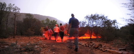 Alice Springs Desert Park - Perths Hotel 4