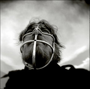 Australian Centre For Photography - Perths Hotel 3