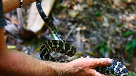 Queensland Day Tours - Perths Hotel 1