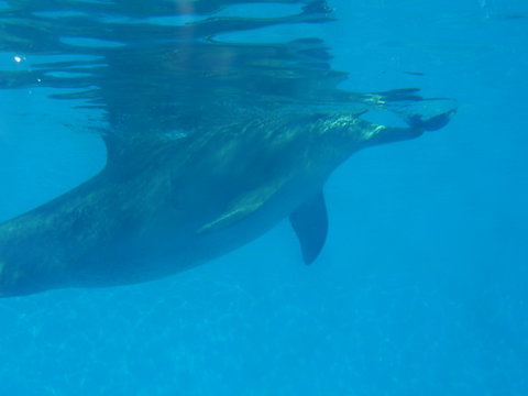 Clarence River BBQ Boats - Perths Hotel 2